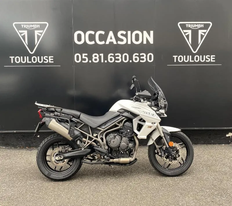 TIGER 800 XRT