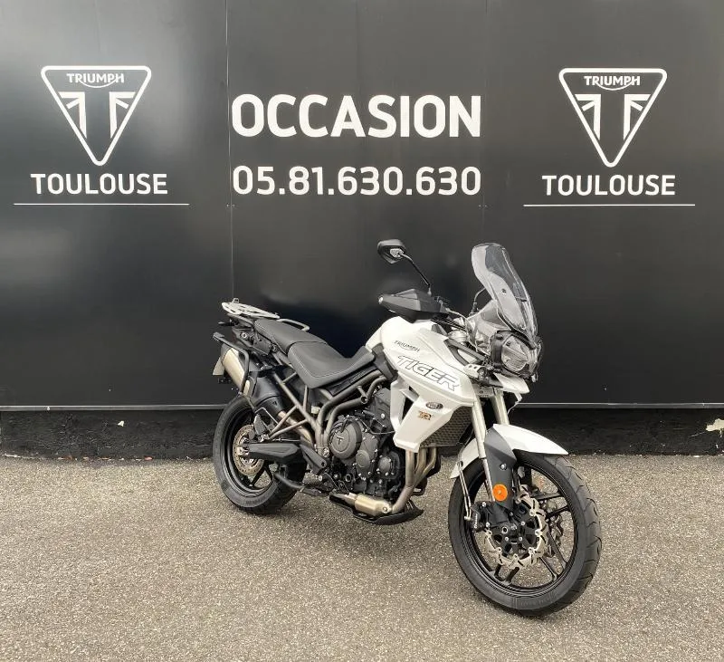 TIGER 800 XRT