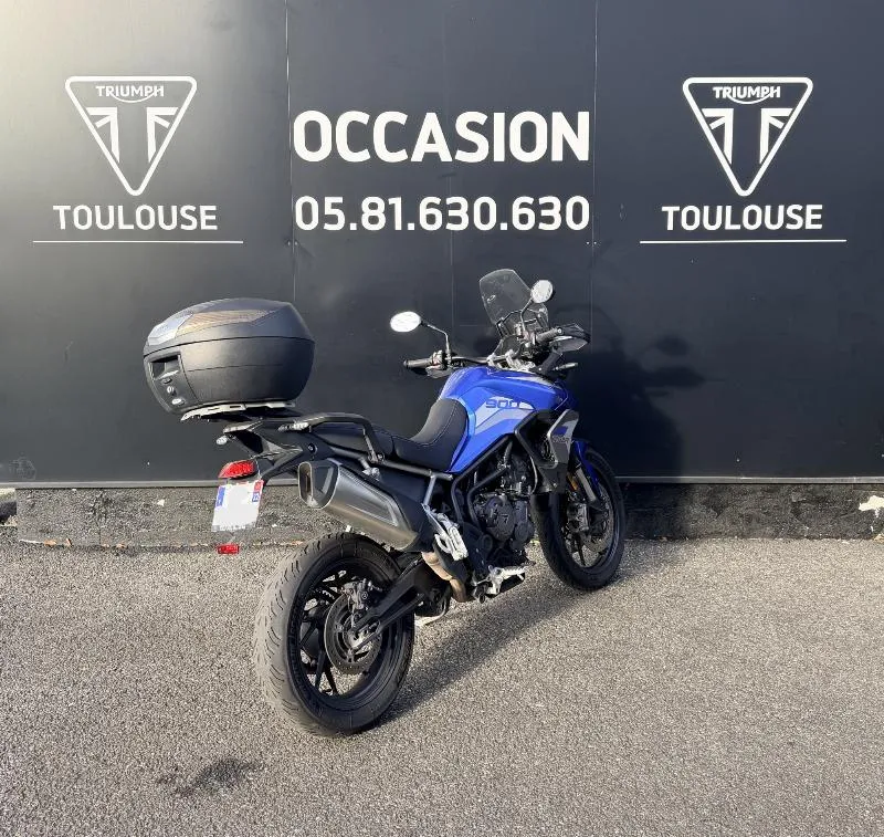 Tiger 900 GT