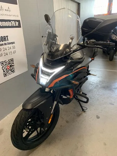 DS 300