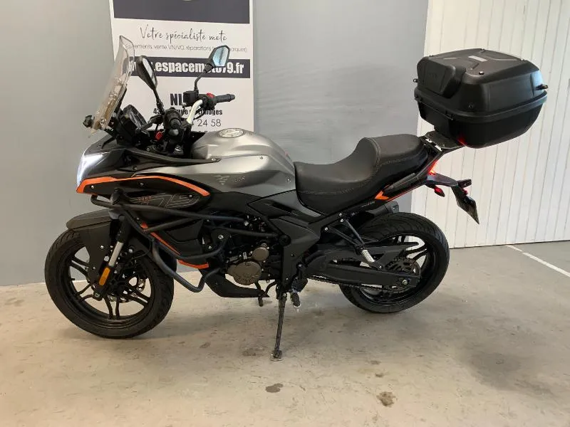 DS 300