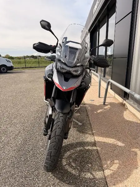 Tiger 900 GT PRO
