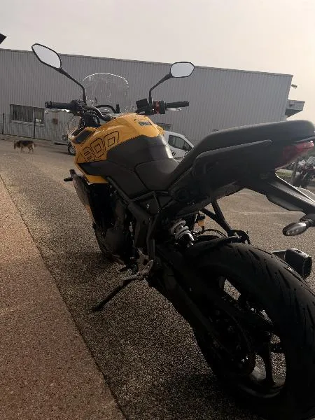 TIGER SPORT 800