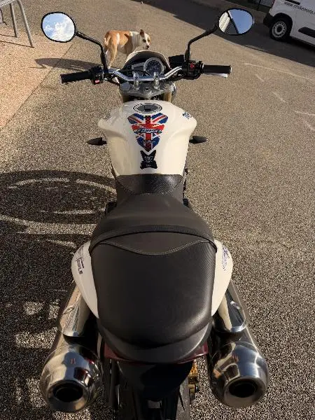 STREET TRIPLE 675