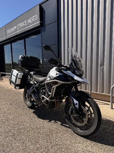 Tiger 900 GT PRO