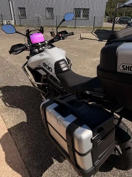 Tiger 900 GT PRO