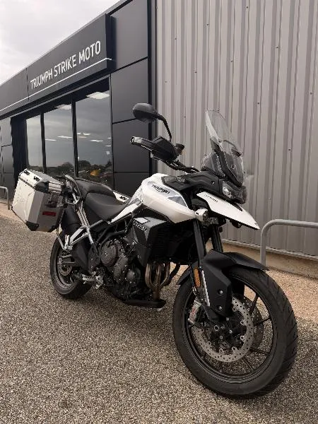 Tiger 900 GT PRO