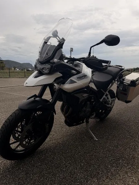 Tiger 900 GT PRO