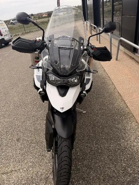 Tiger 900 GT PRO