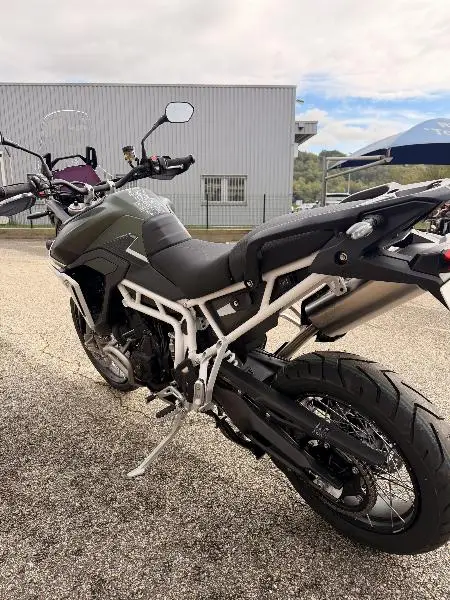 TIGER 900 RALLY PRO