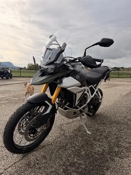 TIGER 900 RALLY PRO