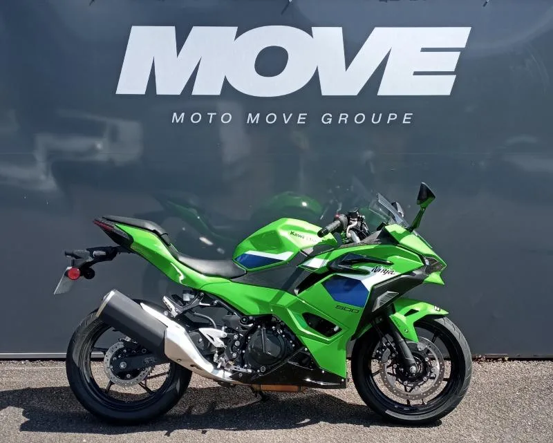 Ninja 500