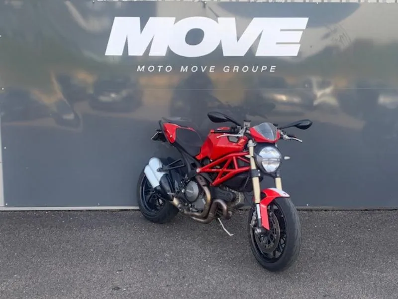 1100EVO MONSTER