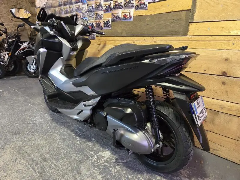 NSS FORZA 300 2021