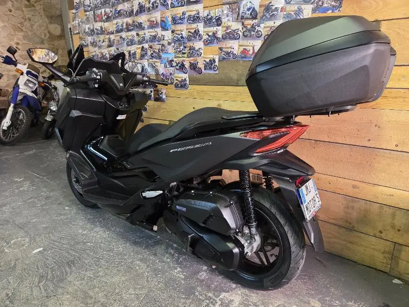 NSS FORZA  125 AD