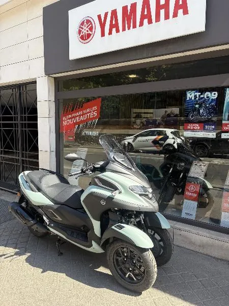 TRICITY 300
