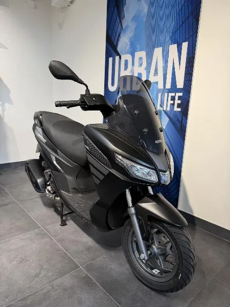 SXR 50
