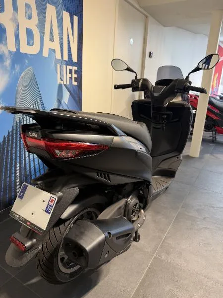 SXR 50