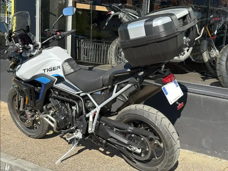 Tiger 900 Alpine Edition
