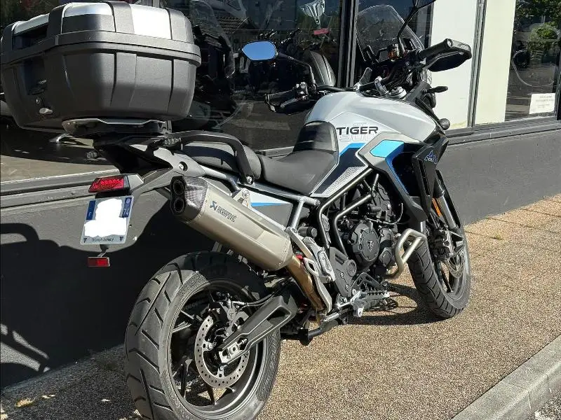 Tiger 900 Alpine Edition