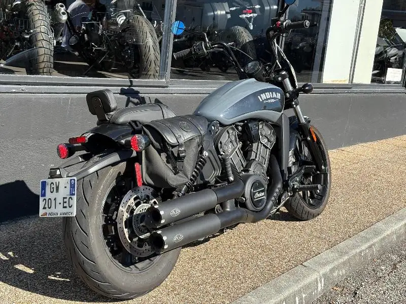 SCOUT 1133 ROGUE