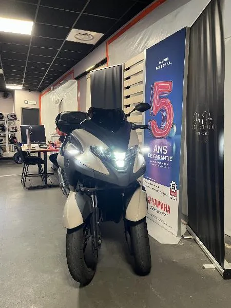 TRICITY 300