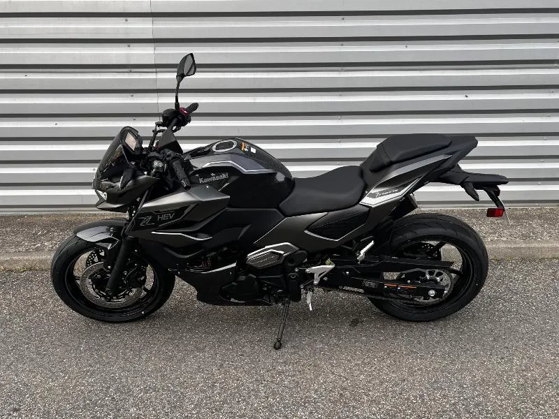 Z7 hybrid