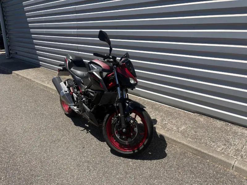 Z500 SE
