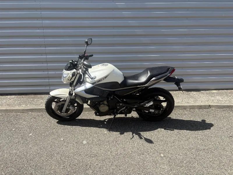 XJ6N