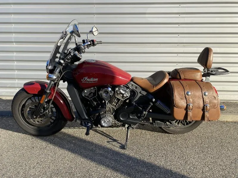 SCOUT 1133 ROGUE