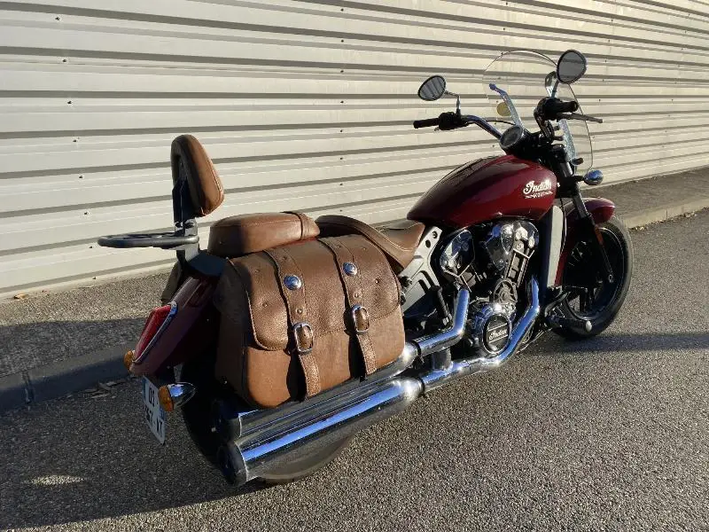 SCOUT 1133 ROGUE