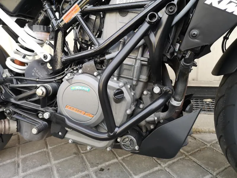 390 DUKE ABS