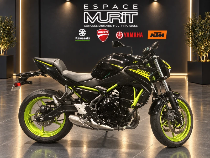 Z650  Z650