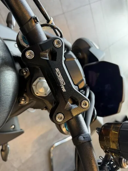 SPEED TRIPLE 1200 RS