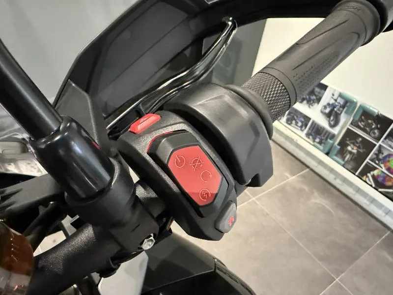 TIGER 1200 GT PRO