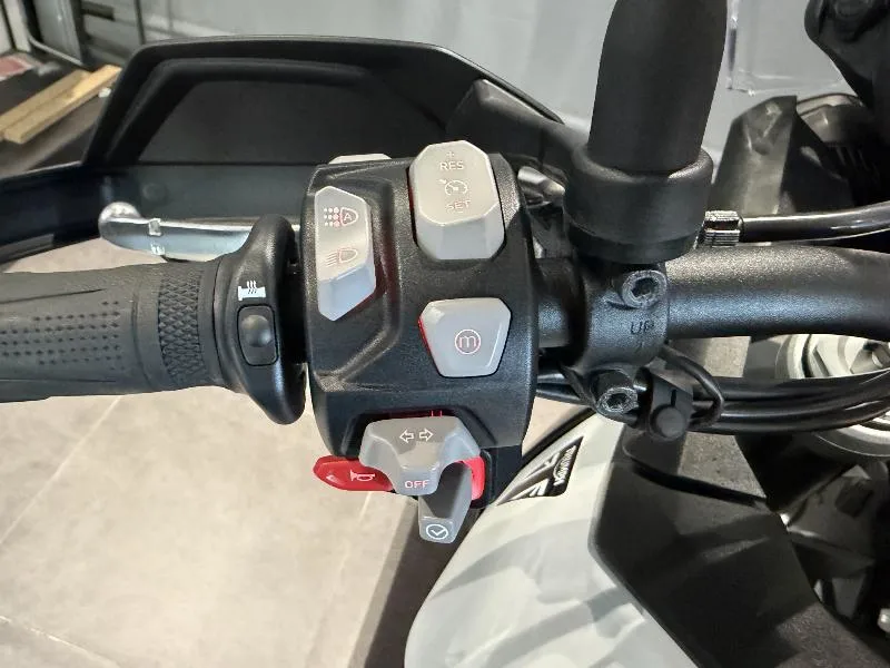 Tiger 900 GT PRO