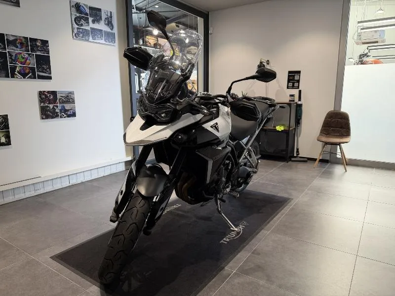 Tiger 900 GT PRO