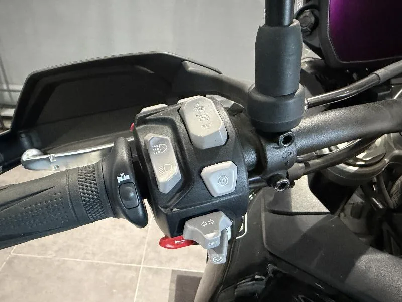 Tiger 900 GT PRO