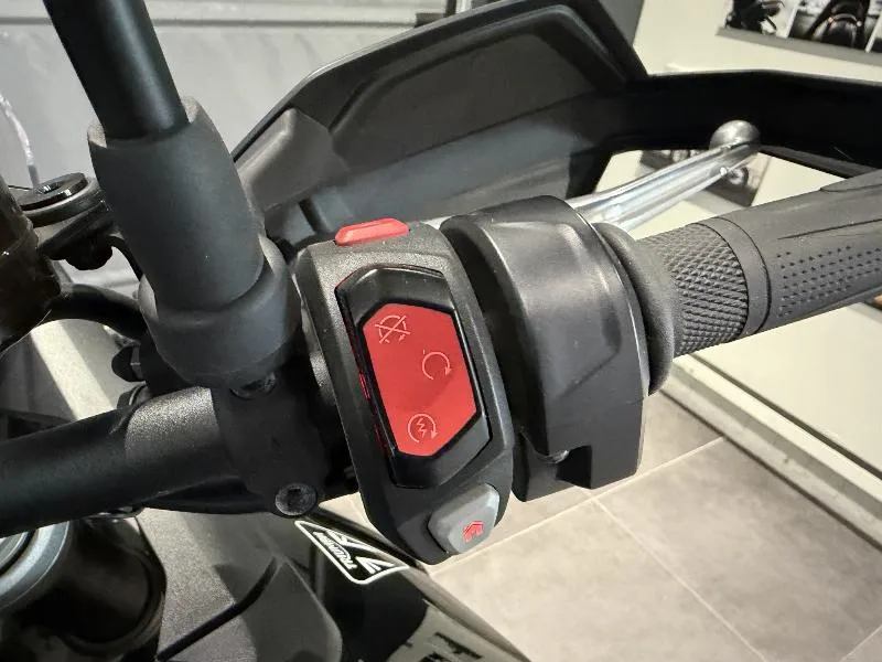 Tiger 900 GT PRO