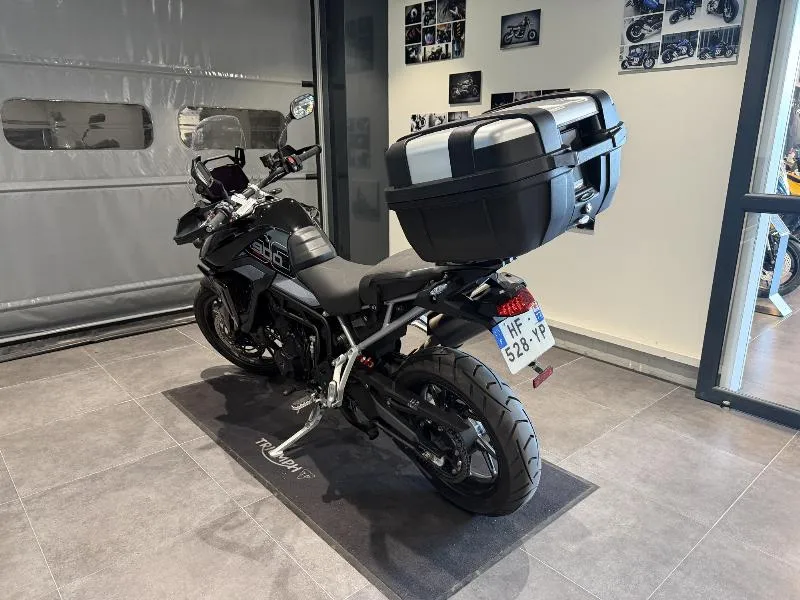 Tiger 900 GT PRO