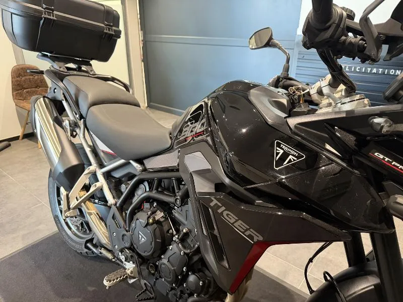 Tiger 900 GT PRO