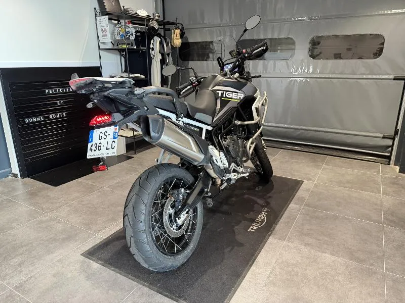 Tiger 900 Rally Aragon Edition