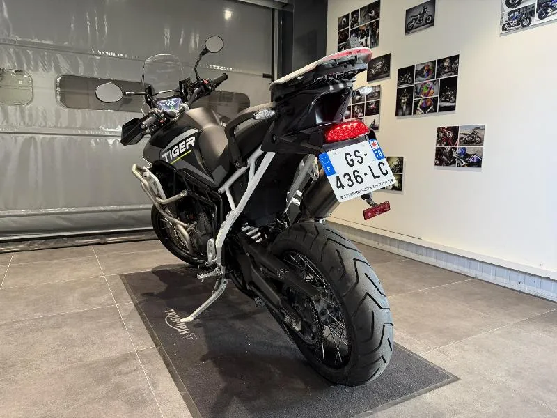 Tiger 900 Rally Aragon Edition