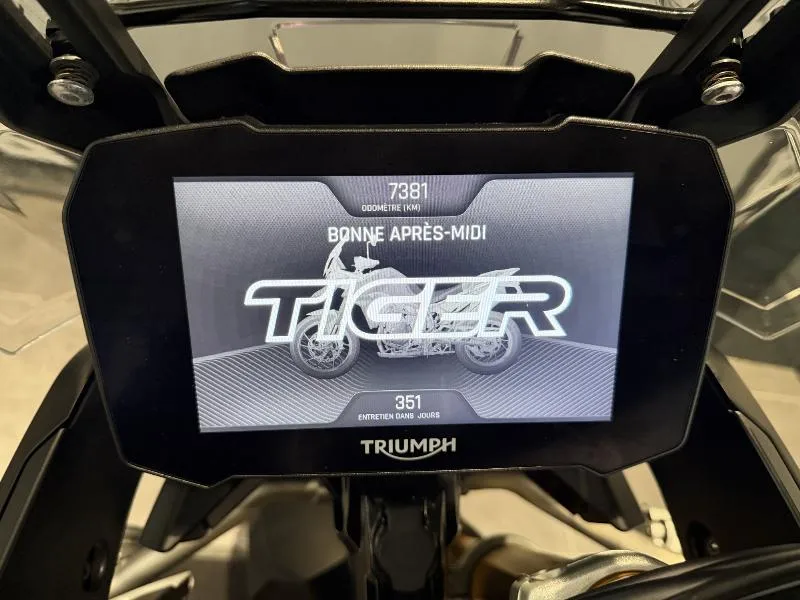 Tiger 900 Rally Aragon Edition