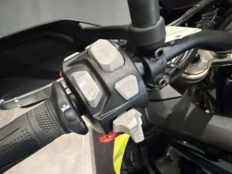 TIGER 900 RALLY PRO