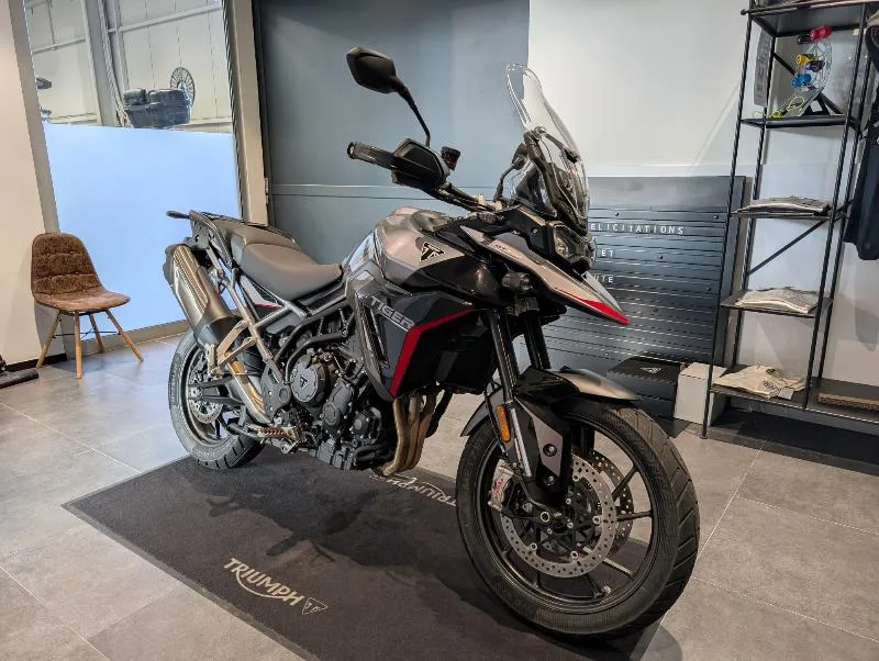 Tiger 900 GT Pro A2
