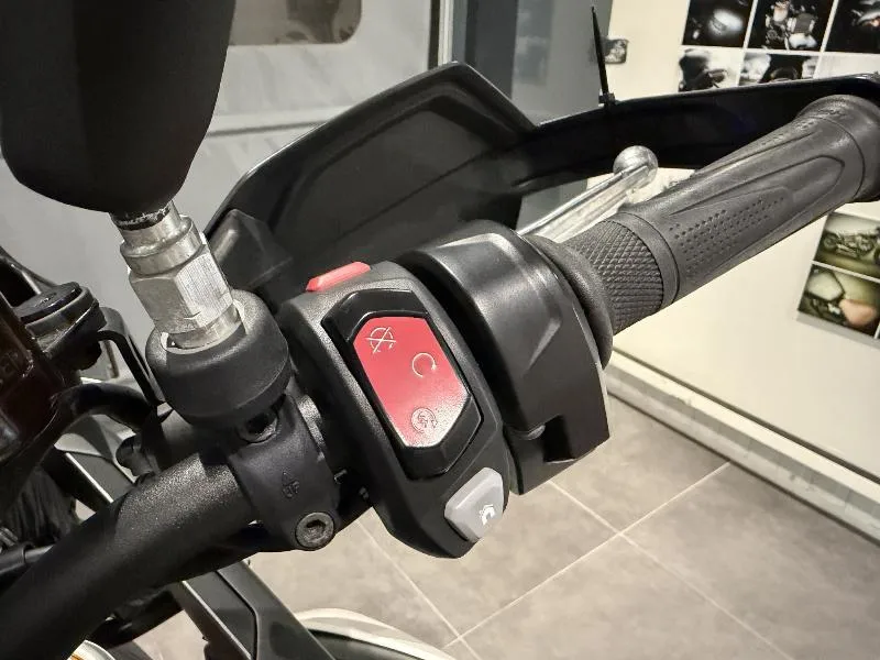 TIGER 900 RALLY PRO