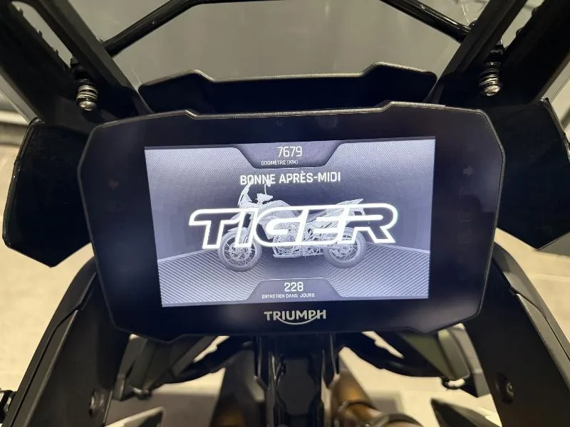 TIGER 900 RALLY PRO