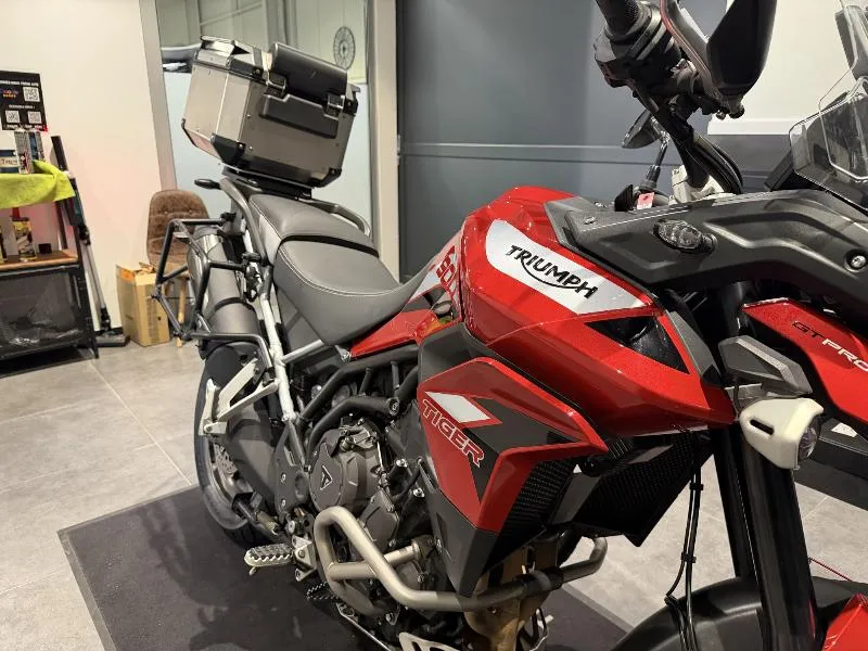 Tiger 900 GT PRO