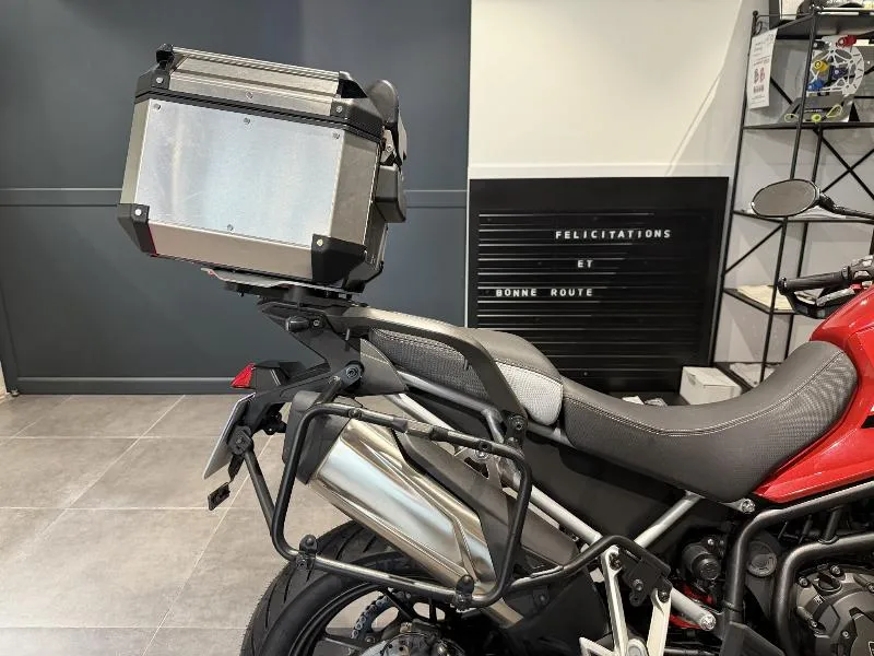 Tiger 900 GT PRO